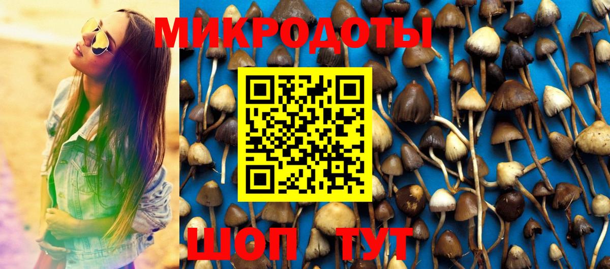 Псилоцибиновые грибы GOLDEN TEACHER  Вход с VPN  Псилоцибиновые грибы ЛСД  Луга 