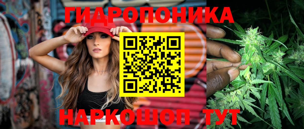 Шишки марихуана марихуана Луга